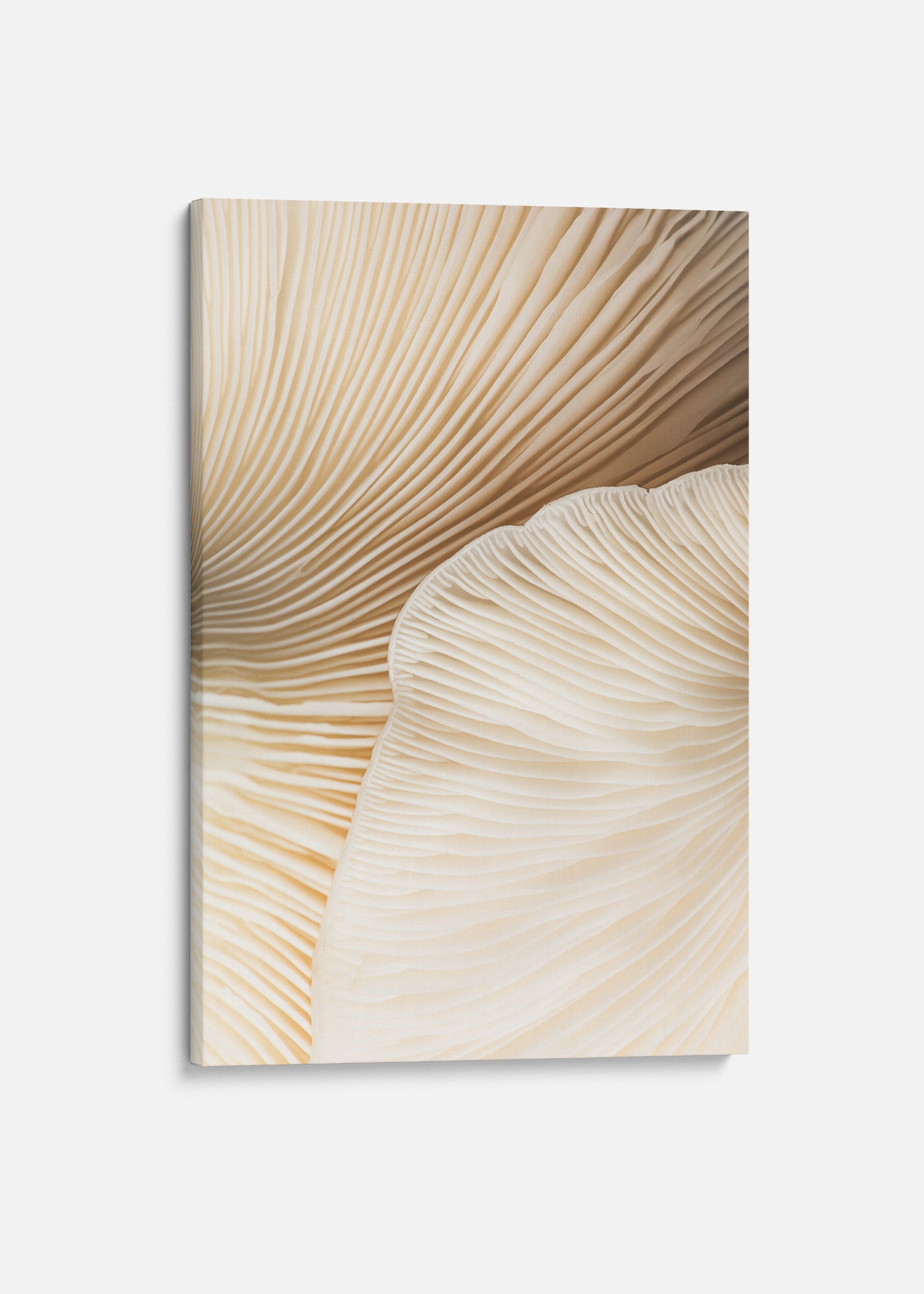 Closeup Mushroom no2 Canvas