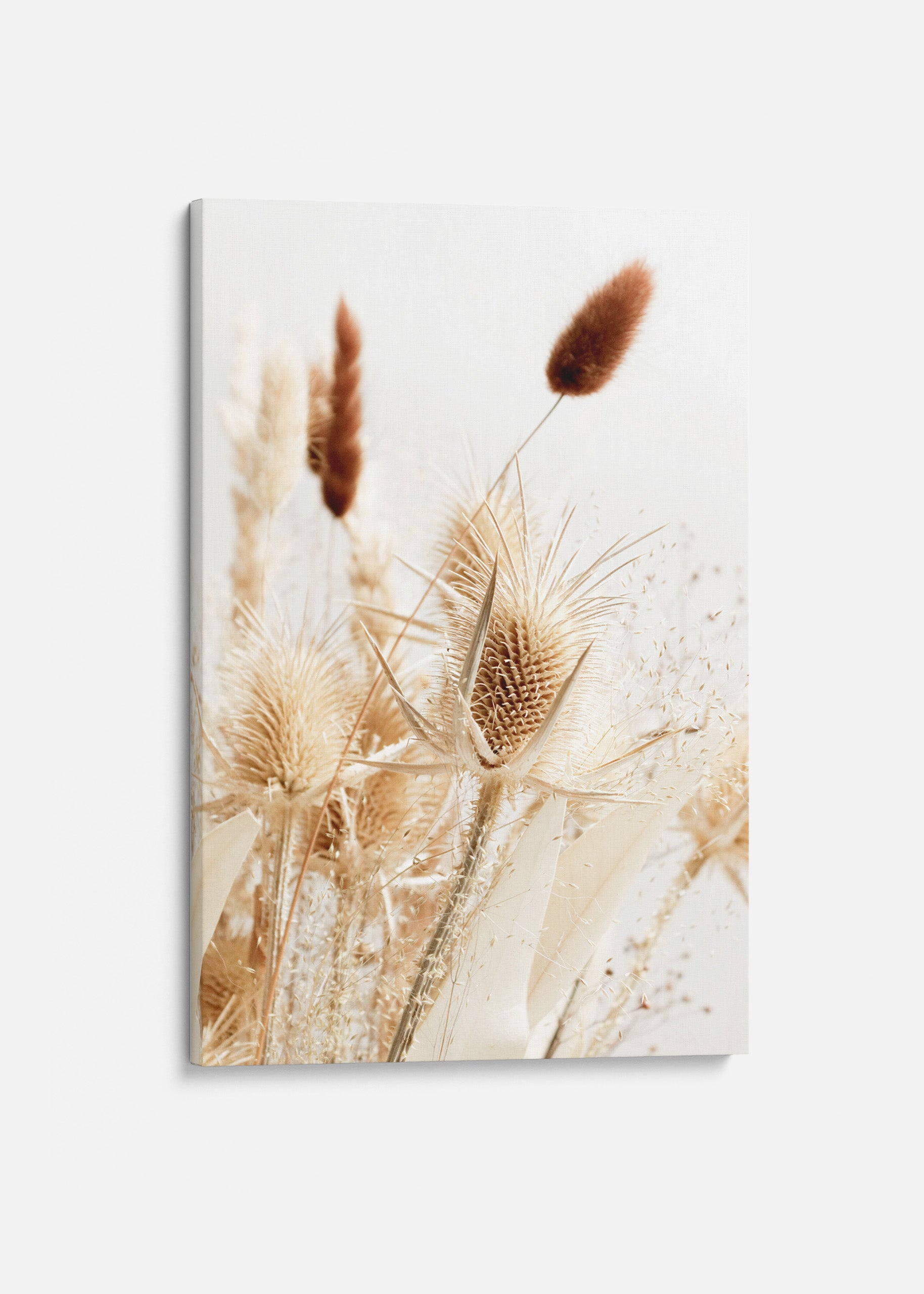 Dried Grass no2 Canvas