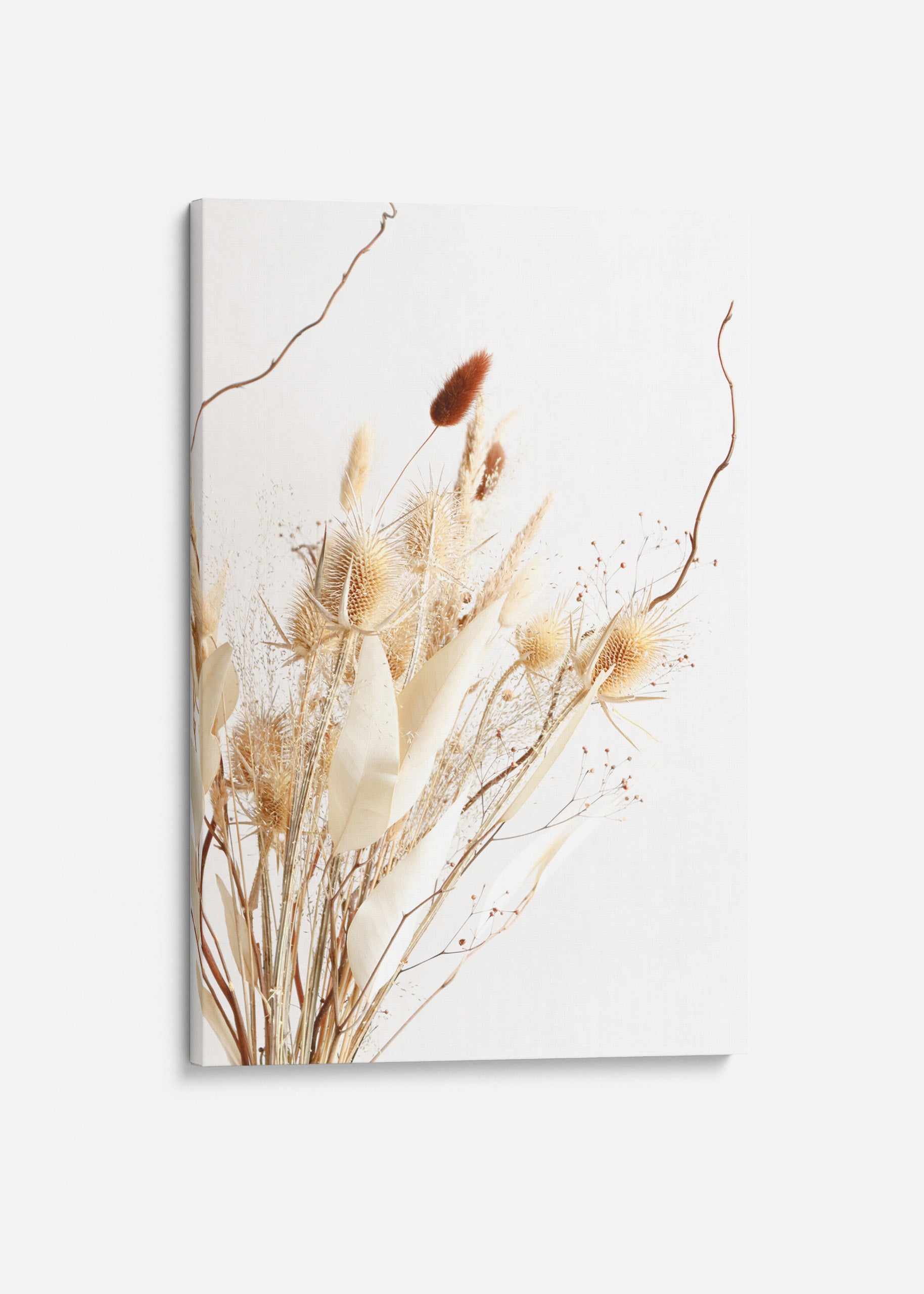 Dried Grass Canvas