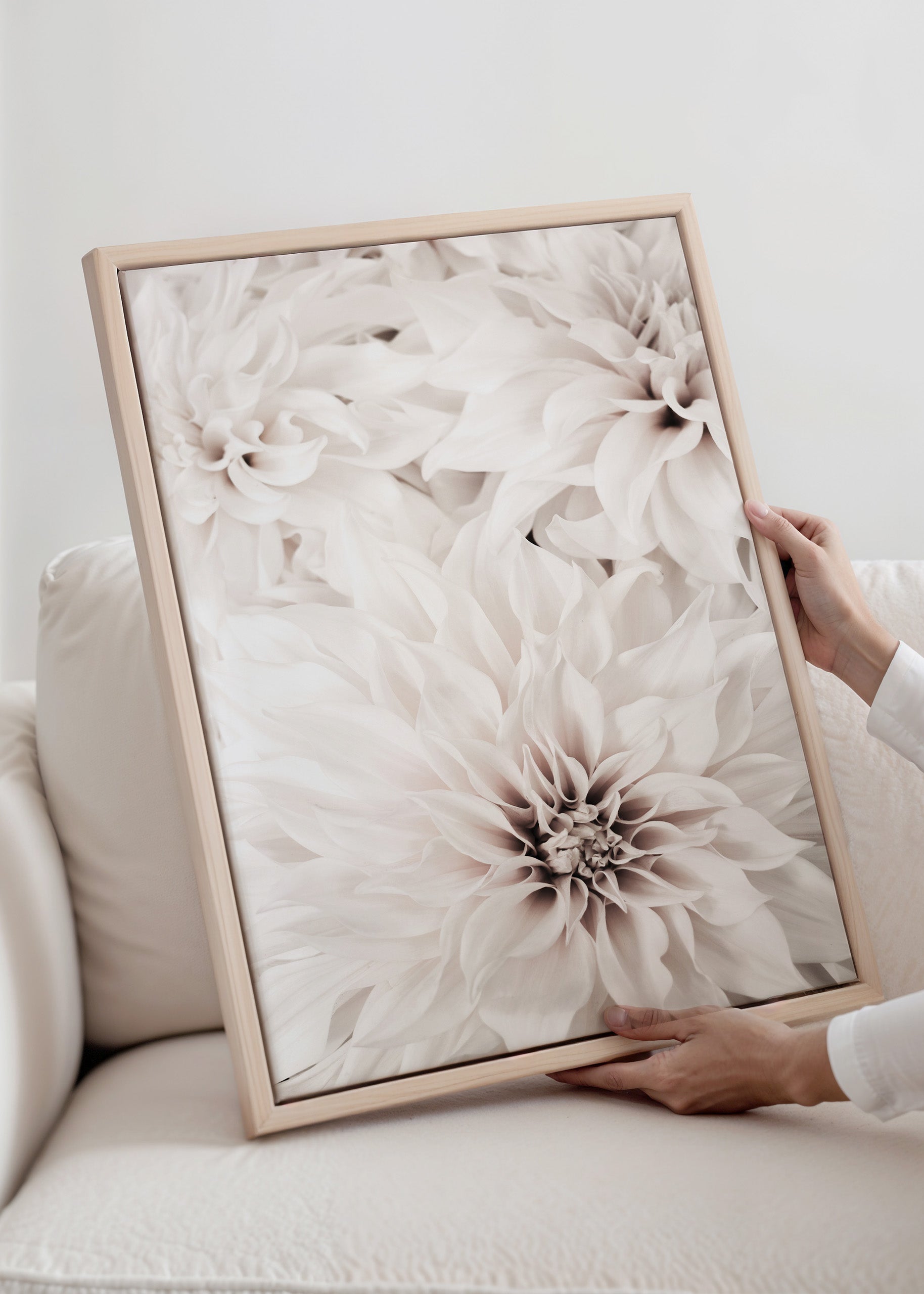 Dahlia Canvas