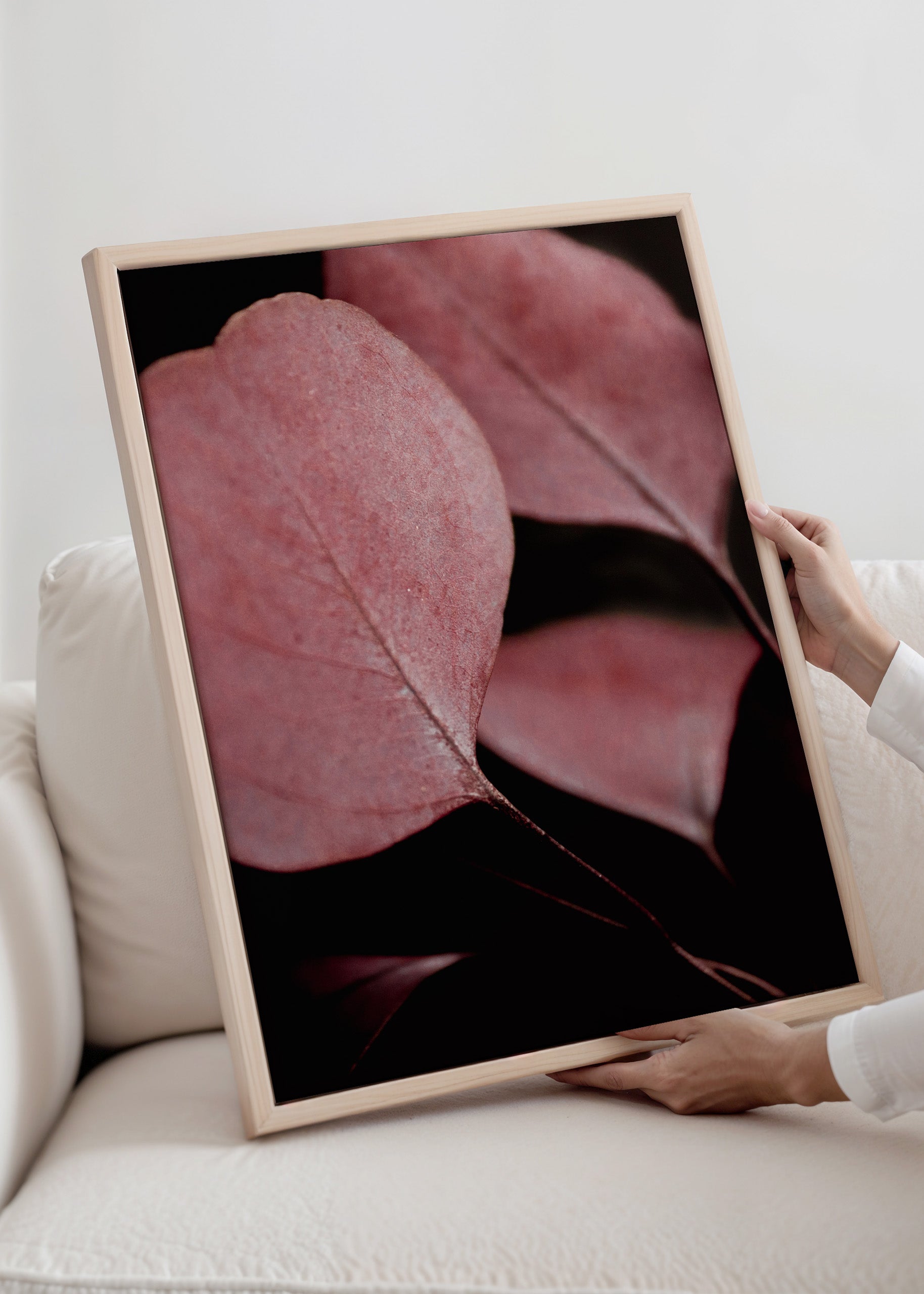 Red Eucalyptus Closeup no2 Canvas