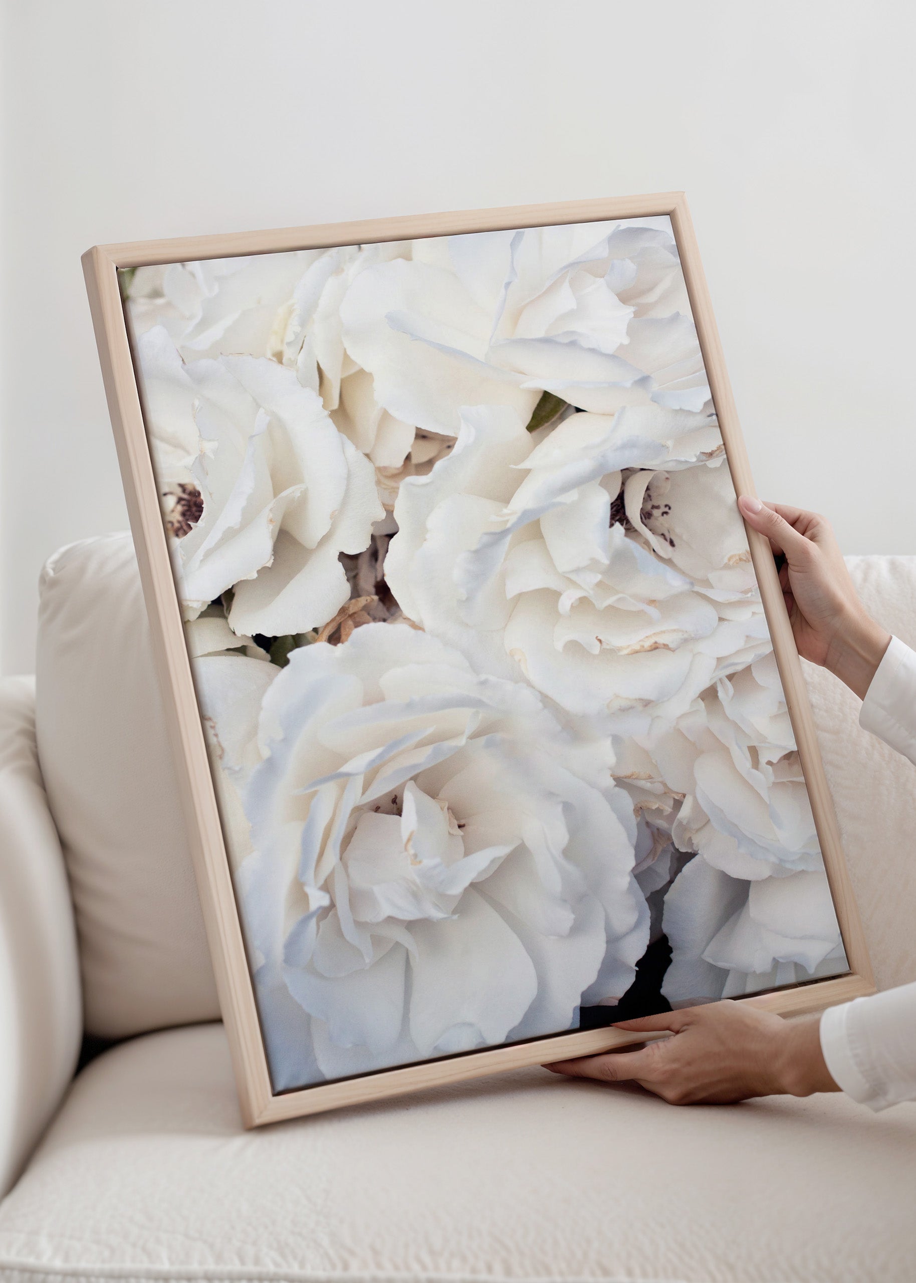 White Roses Canvas