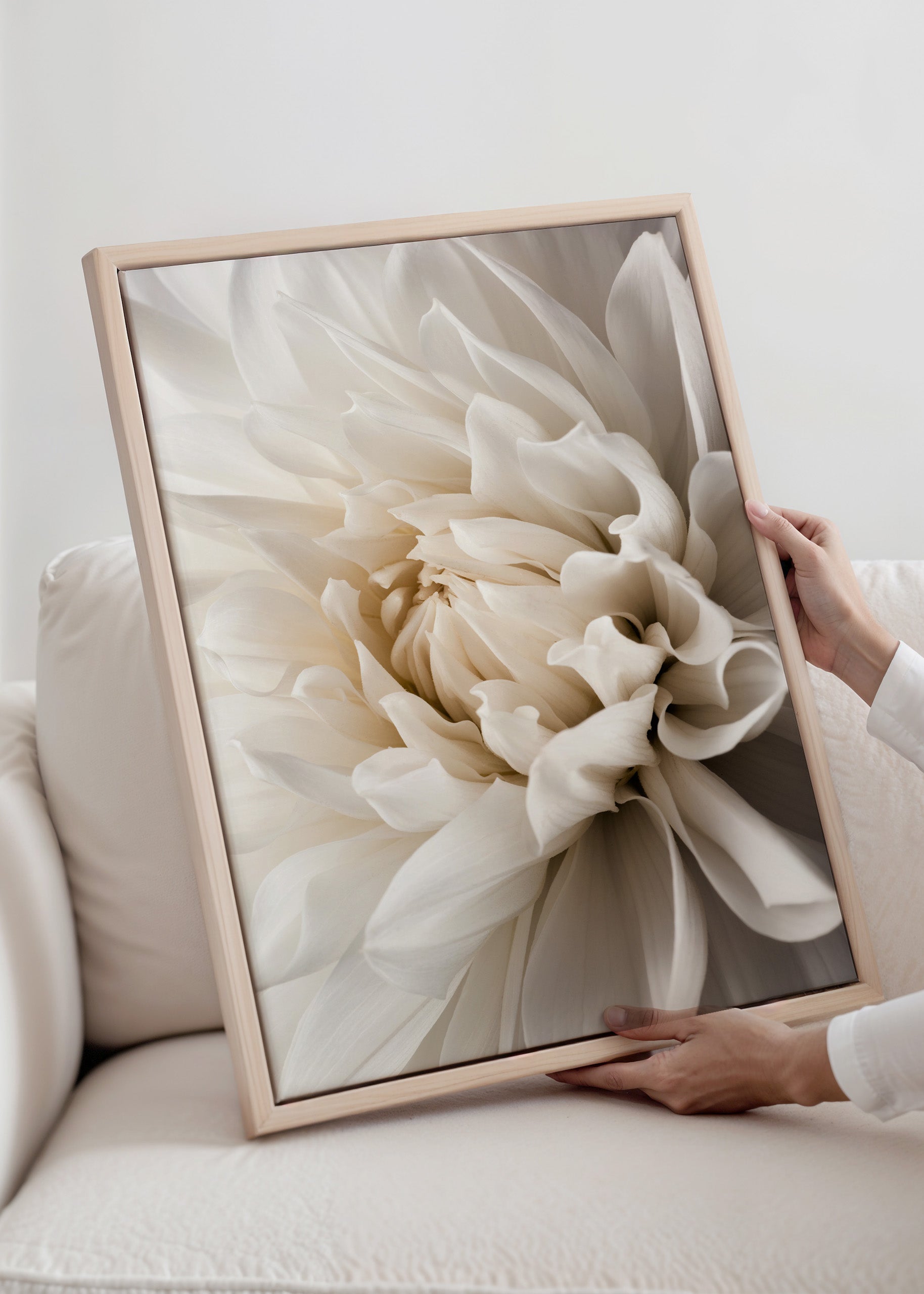 White Dahlia Canvas