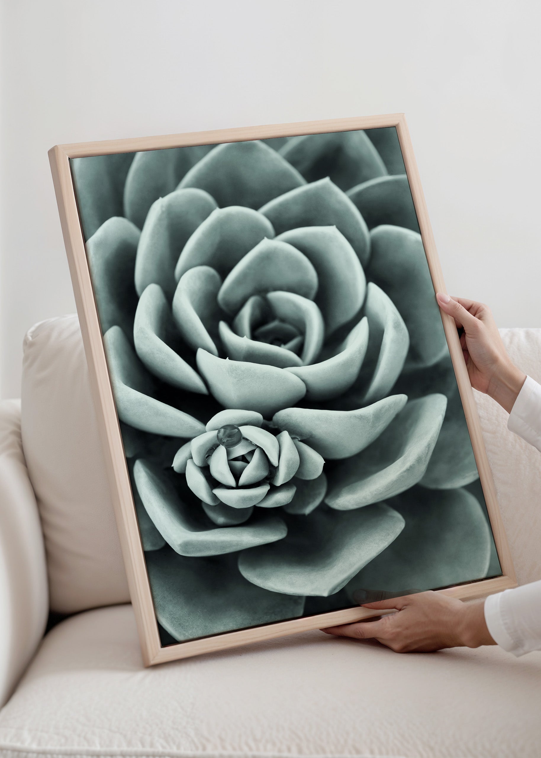 Mint Green Succulent Canvas