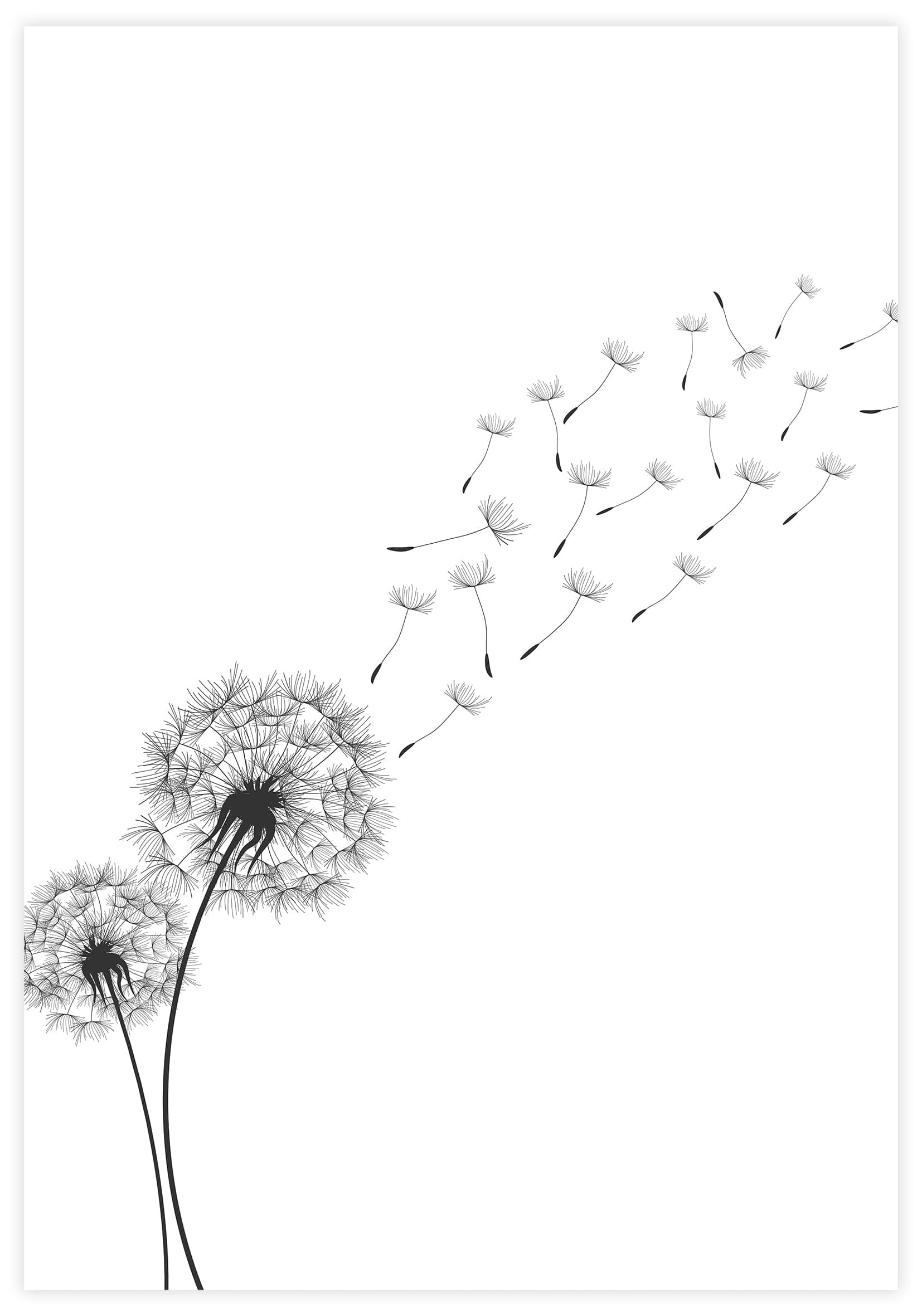 Dandelion Poster