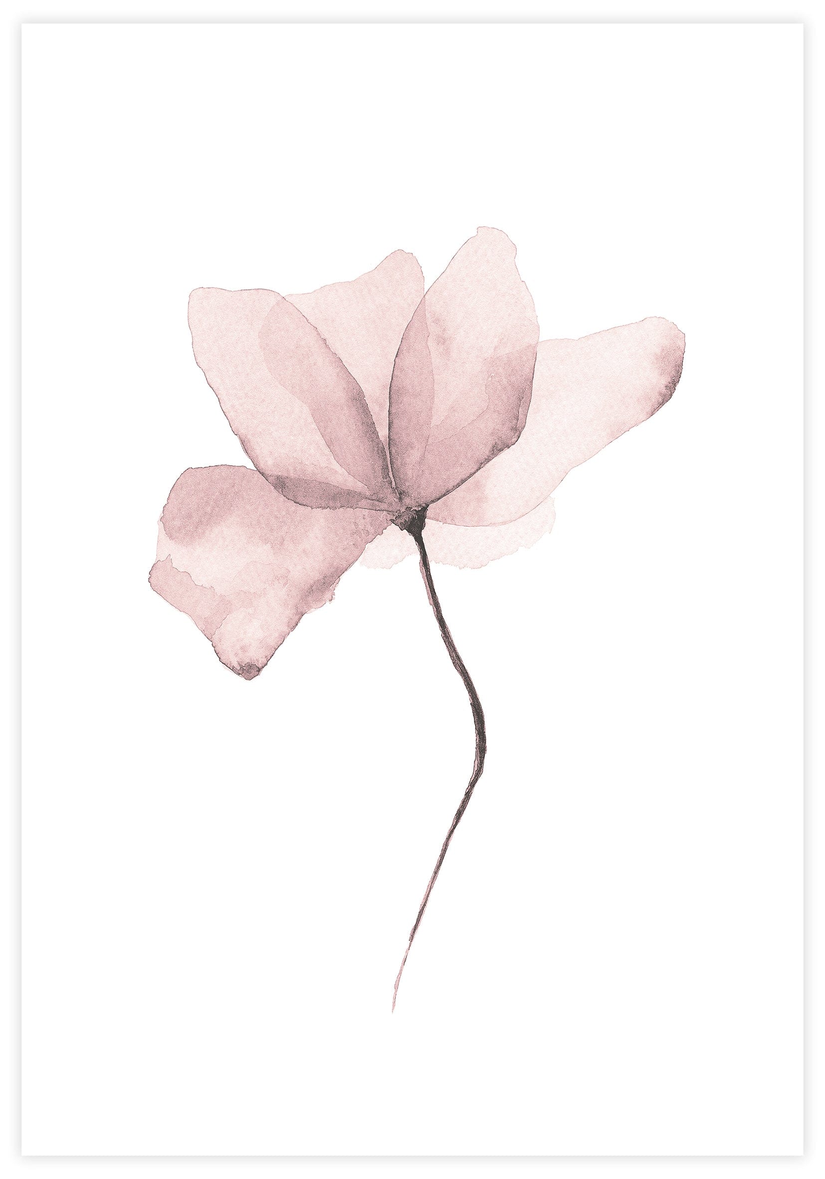 Aquarelle Flower Poster - KAMAN