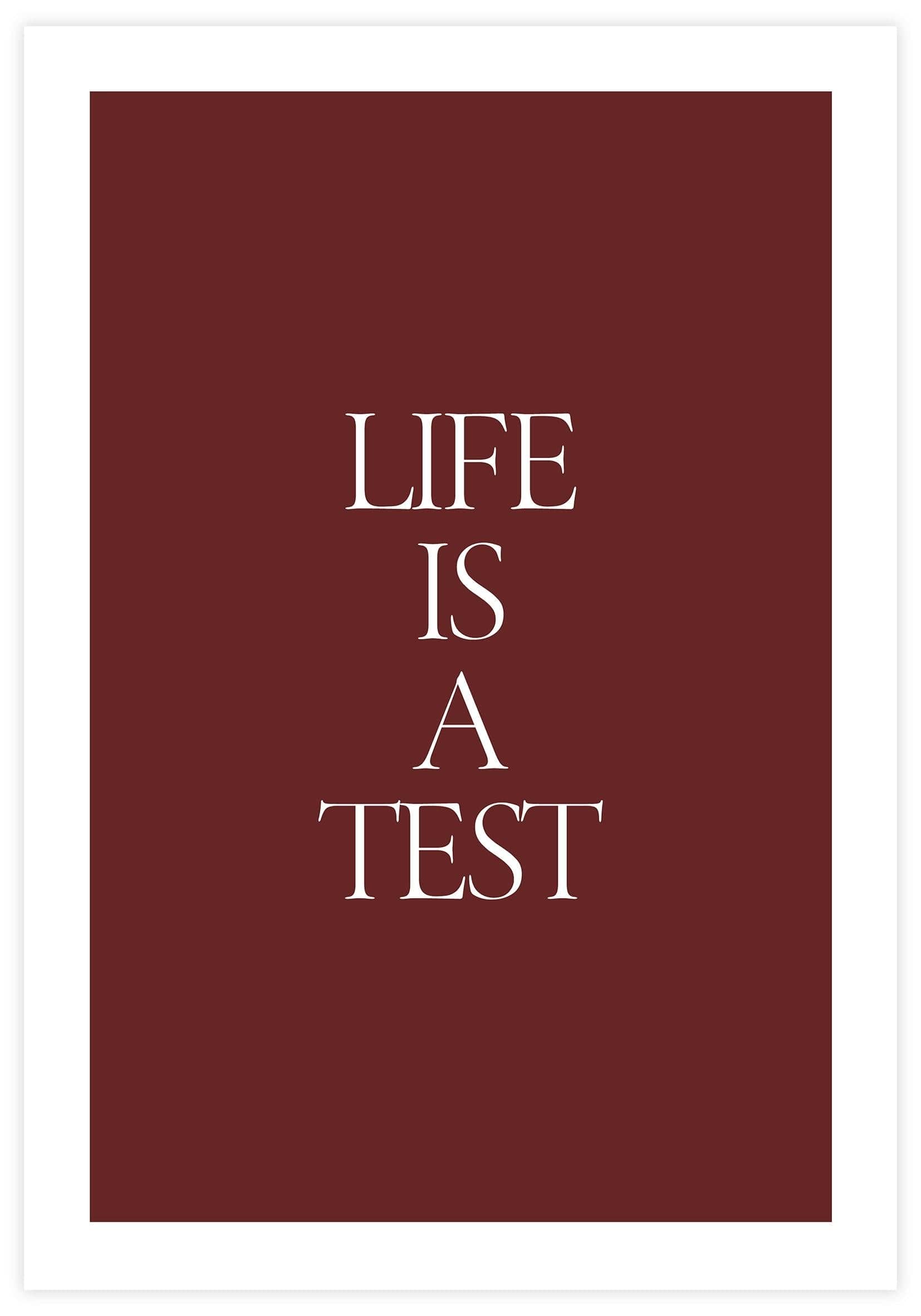 Life Is A Test Poster