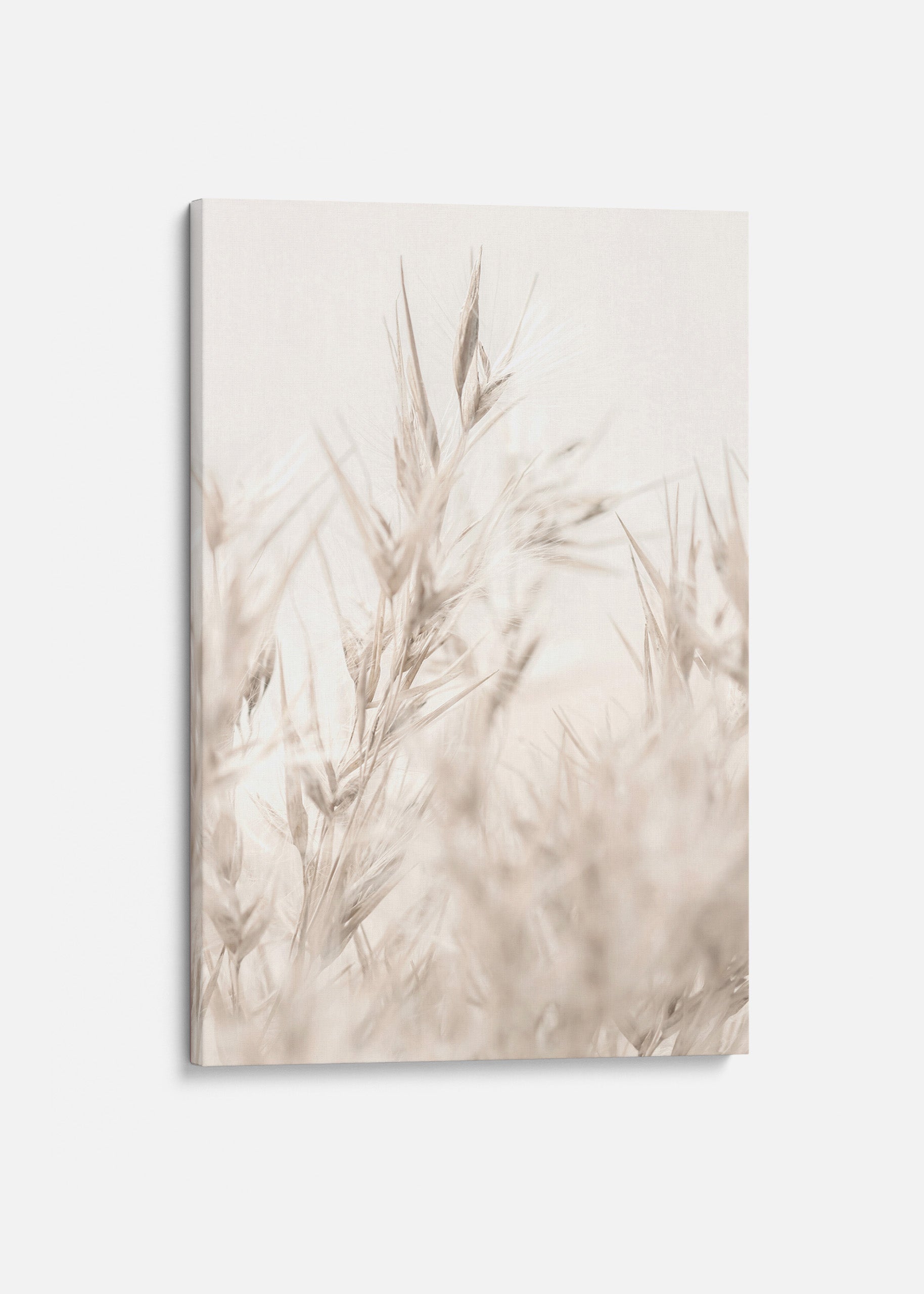 Beige Reed Canvas