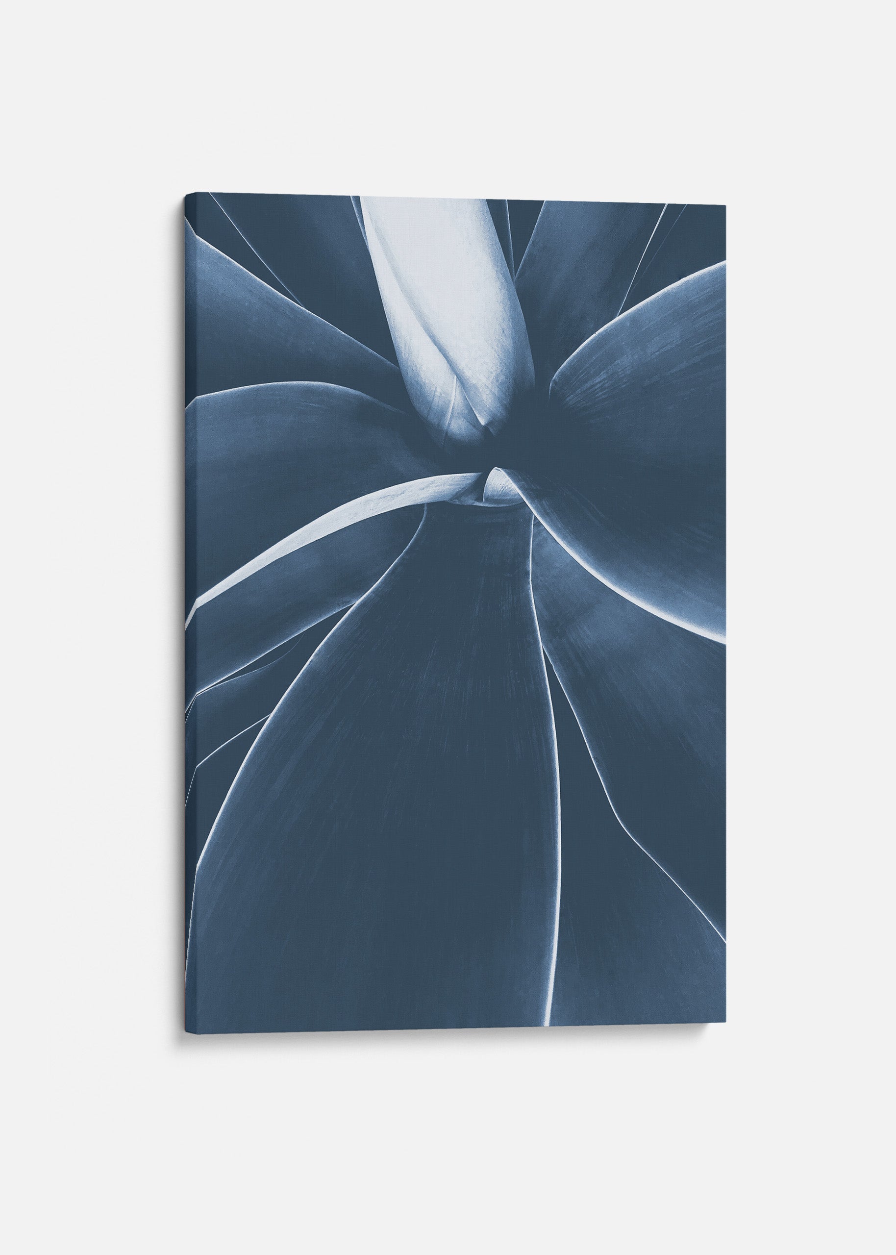 Blue Succulent no2 Canvas