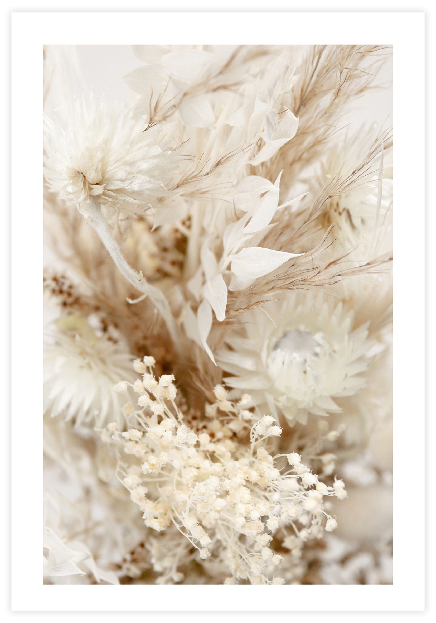 Closeup Dried Boquet Poster