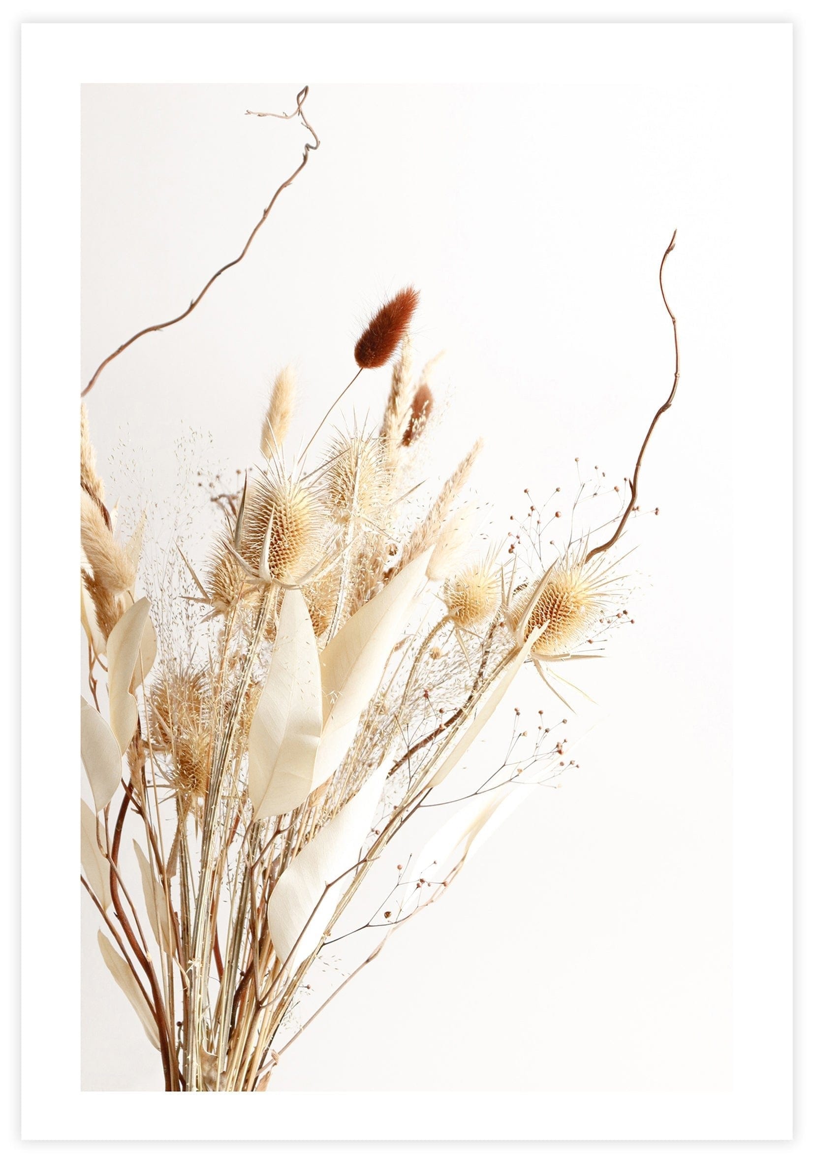 Dried Grass Poster