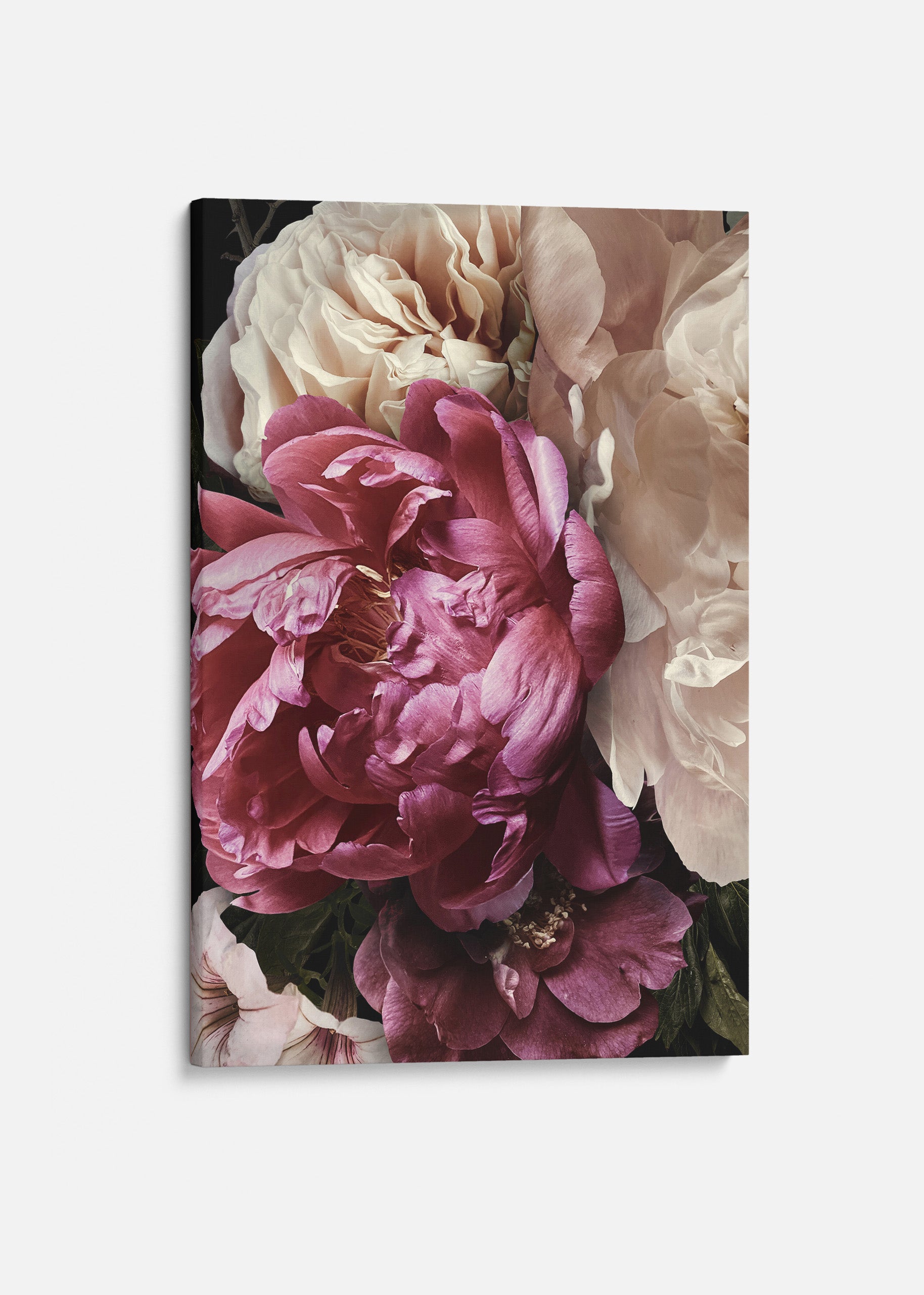 Peonie Sunset Canvas