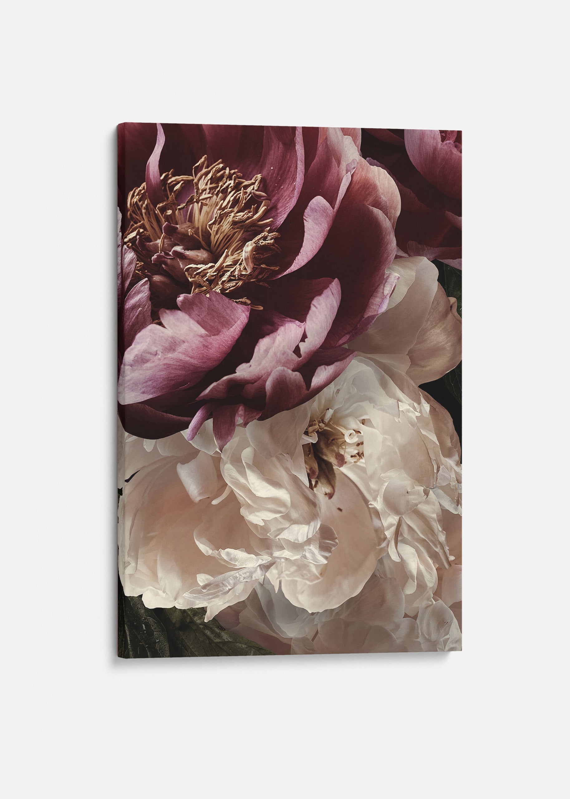 Flower Wall Canvas