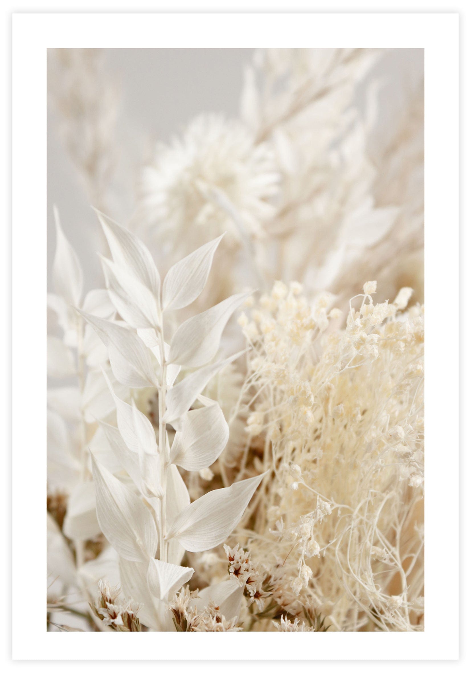 Closeup Dried Boquet no2 Poster