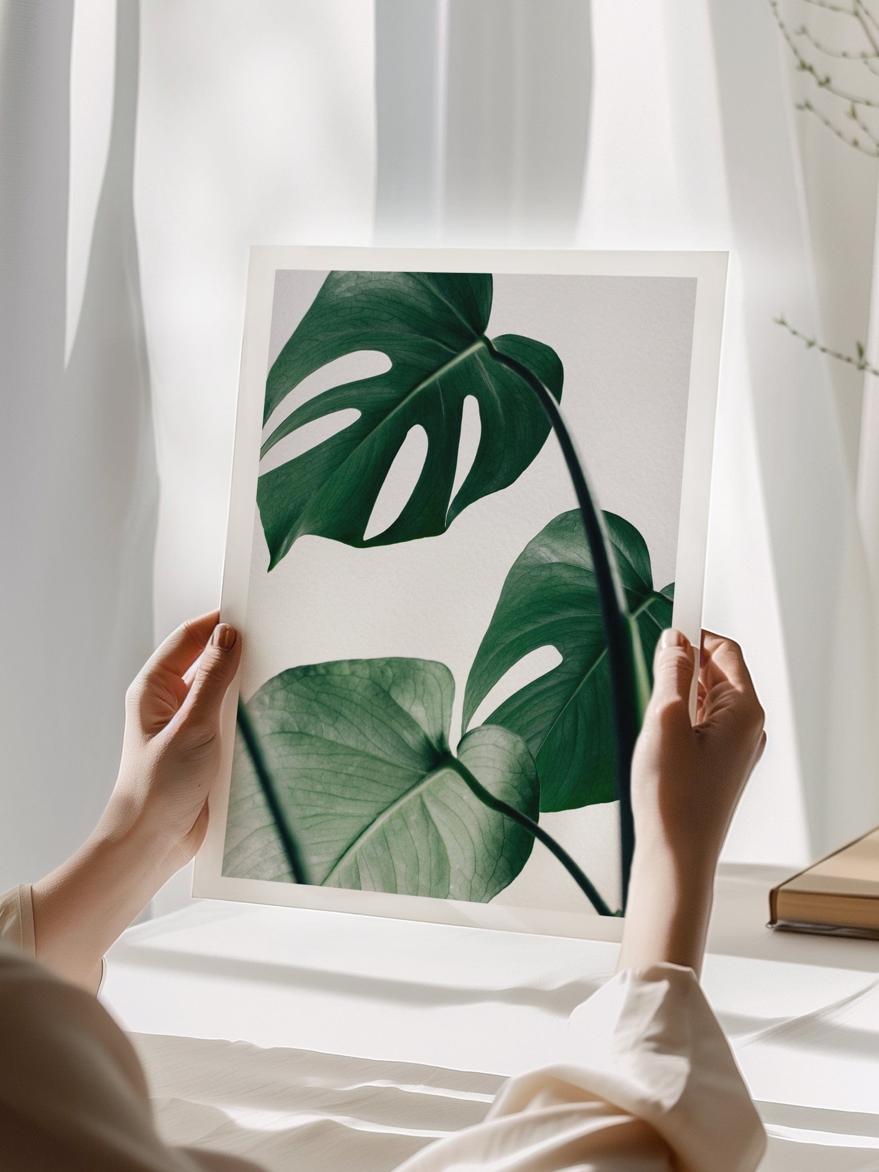 Monstera Poster