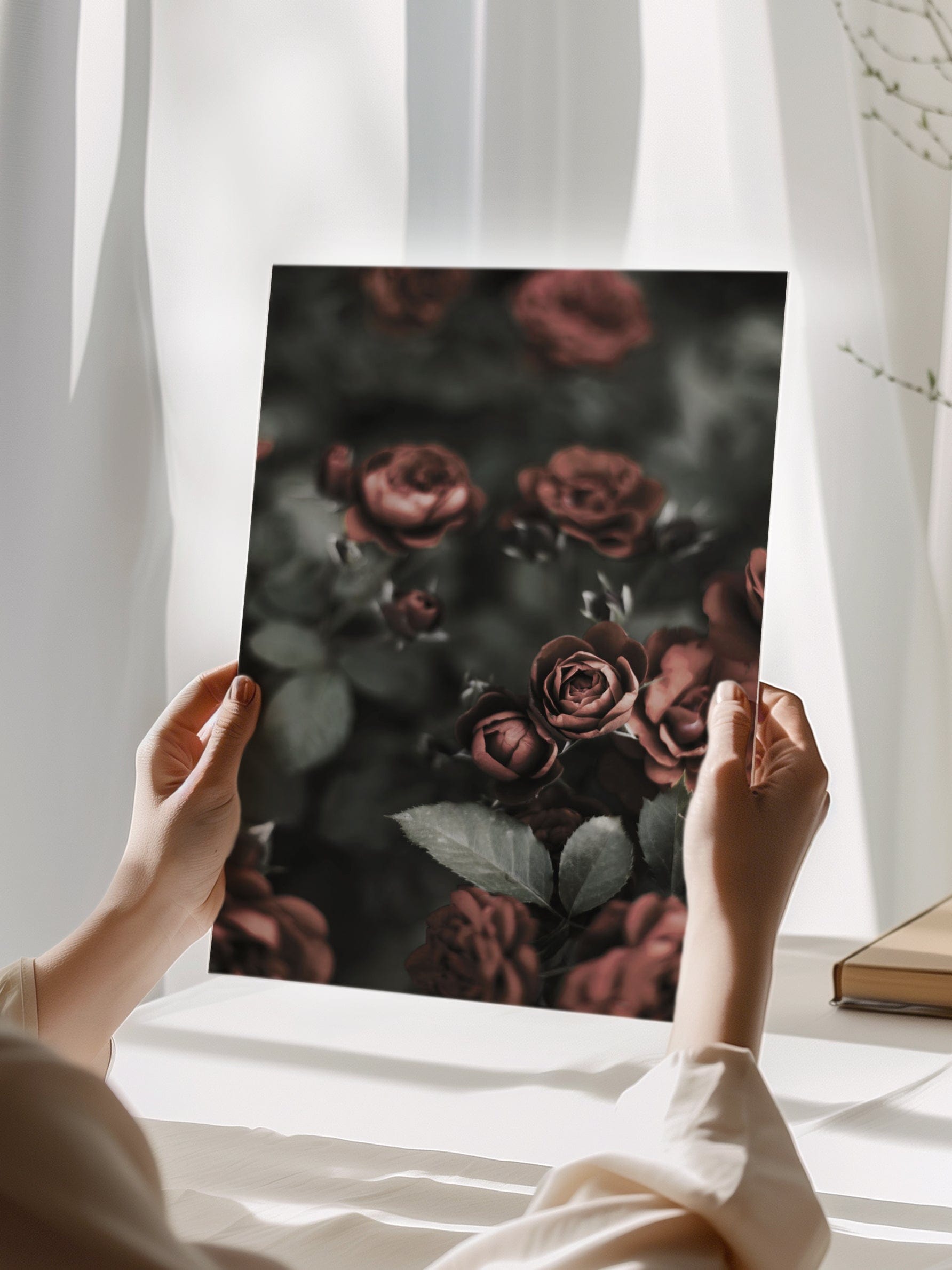 Roses In Garden Poster