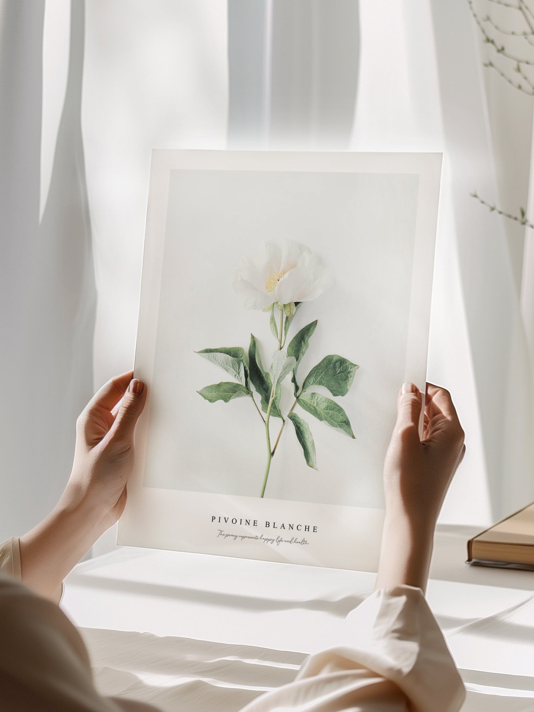 White Peony Poster