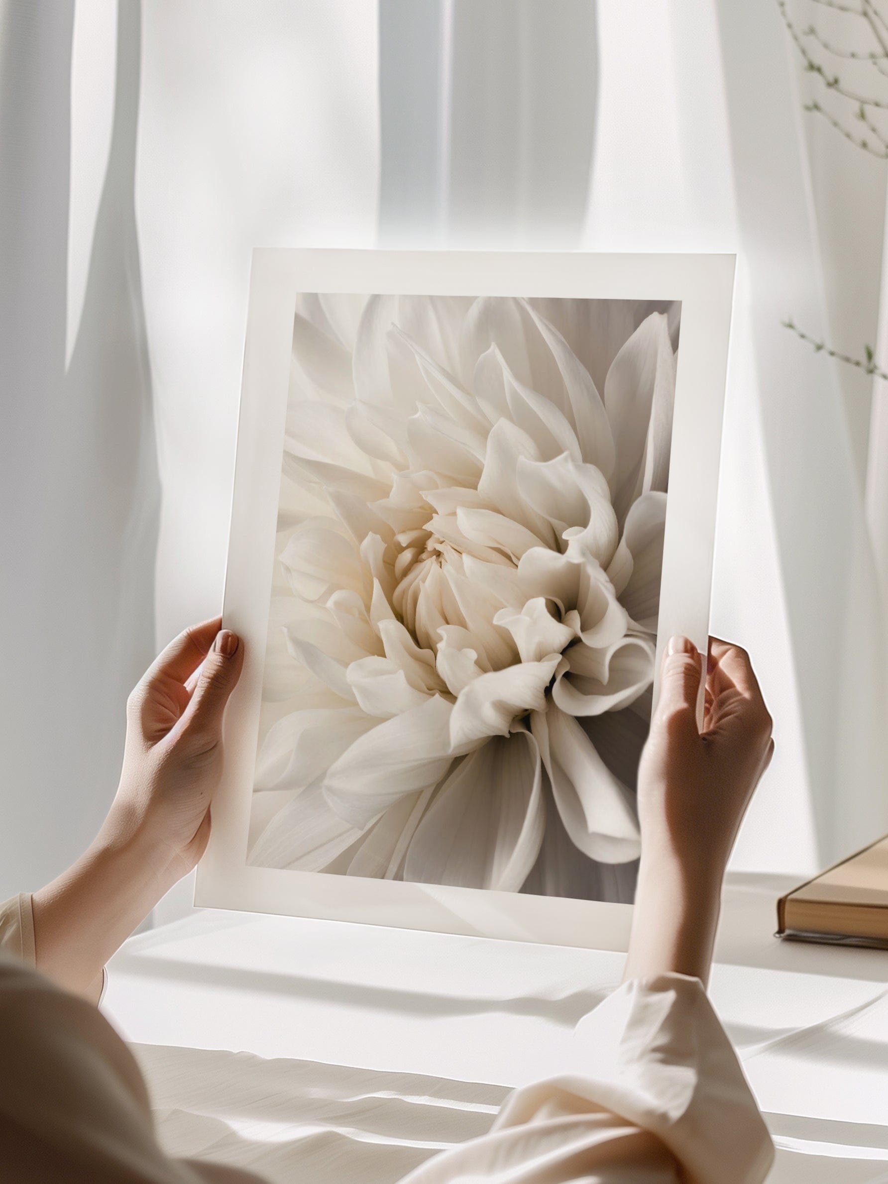 White Dahlia Poster