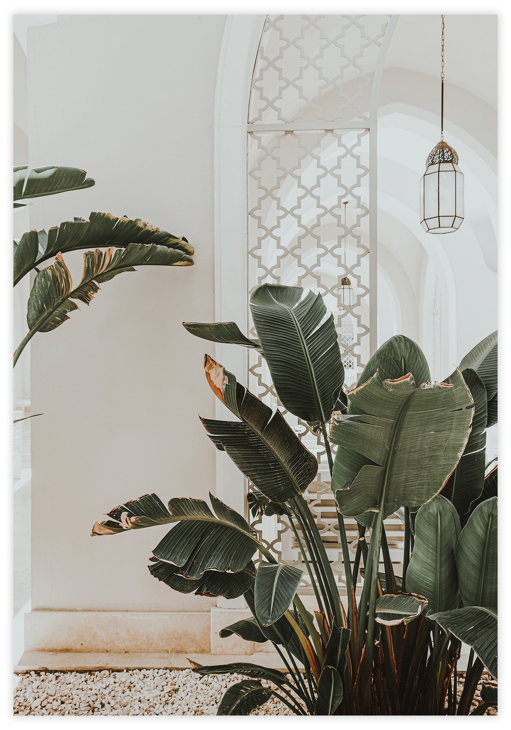 Greenhouse Poster