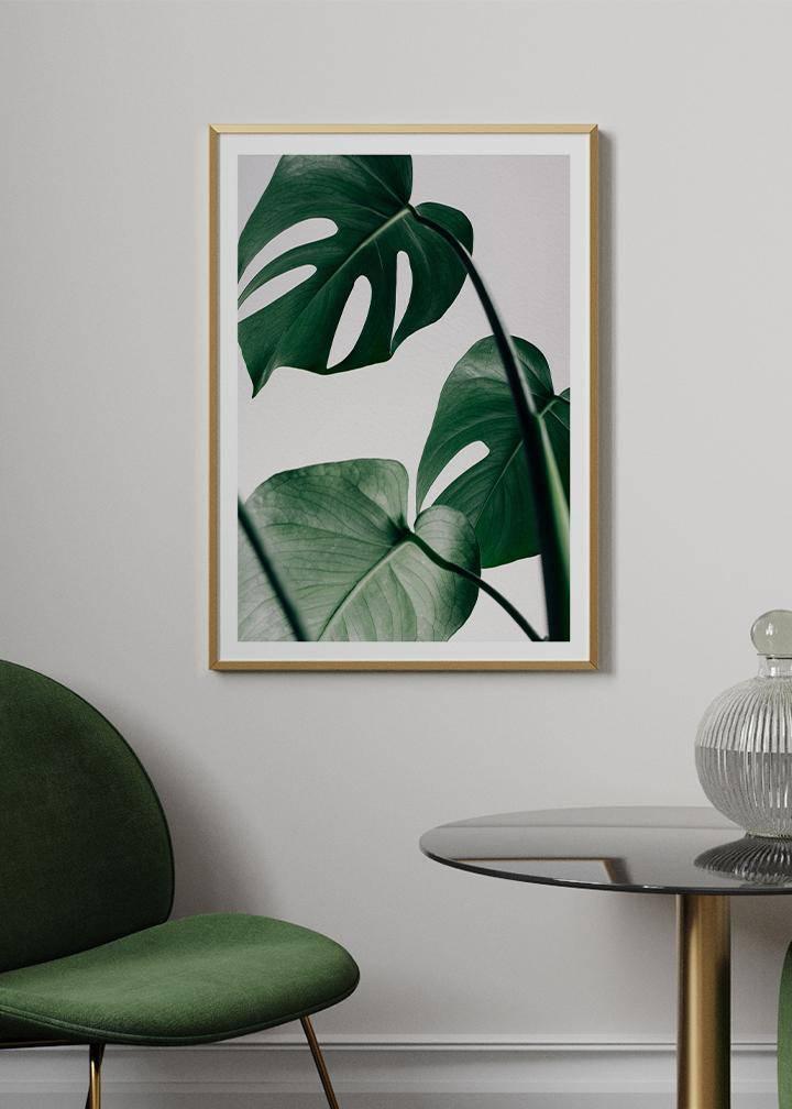 Monstera Poster - KAMANART.DE