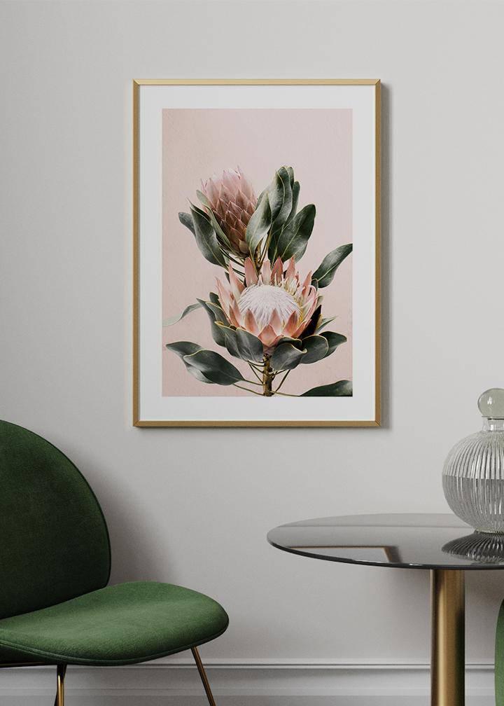 Protea Flowers Poster - KAMANART.DE